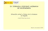 IV JORNADA HISPANO-ALEMANA DE BIOENERGÍA · DE BIOENERGÍA Situación actual y futuro de la biomasa en España JoséMªMartínez García Madrid, Noviembre 2009. ... BiocarburantesCastilla