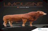 1116 36p Limousin 2017 pour pdf - EVOLUTION … · TESTAJE SOBRE DESCENDENCIA Somos los únicos que contamos con esta práctica. Ningún toro se reproduce sin que se haya testado