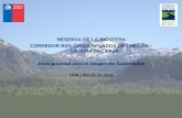 Presentación GORE Biobío - Pablo San Martín · RESERVA DE LA BIÓSFERA . CORREDOR BIOLÓGICO NEVADOS DE CHILLÁN – LAGUNA DEL LAJA . Asociatividad para el Desarrollo Sustentable