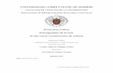 UNIVERSIDAD COMPLUTENSE DE MADRID - …eprints.ucm.es/12204/1/T32596.pdf · Departamento de Filogogía Española III Facultad de Ciencias de la Información Universidad Complutense