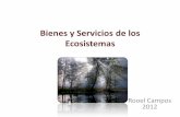 Bienes y Servicios de los Ecosistemas - ucipfg.com€¦ · Devolver los ecosistemas a su estado previo a la degradación y ... estructura y dinámica de las poblaciones. ... 5,5%