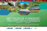 Este documento fue desarrollado por: nes no … · SECONAP Secretaría Ejecutiva del Consejo Nacional de Áreas Protegidas ... paisaje forestal de 1.2 millones de hectáreas en zonas