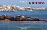 Servi Sonora - Servicios Ambientalesserviciosambientales.sumar.org.mx/PDF/servicios... · A todos los participantes de las comunidades de Puerto Peñasco, Bahía de Kino y Guay-mas,