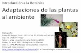 Introducción a la Botánica 2015 - dbbe.fcen.uba.ar · El sistema radical reducido sirve sólo de anclaje al suelo el vástago absorbe agua y nutrientes directamente hojas con gran