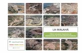 LA MALAHÁ - juntadeandalucia.es · El Instituto de Estadística y Cartografía de Andalucía (IECA) tiene entre sus funciones la producción de la cartografía básica y el inventario,