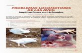 Patología PROBLEMAS LOCOMOTORES DE LAS AVESseleccionesavicolas.com/pdf-files/2016/6/19-22-patologia-problemas... · De todos es conocida la incidencia y prevalencia de las patologías