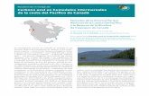 Resumen de investigación Carbono azul en humedales ... · de la costa del Pacífico de Canadá Resumen de investigación Ejemplos de la Reserva Parque Nacional de la Cuenca del Pacífico