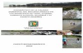 DIAGNÓSTICO DE LA CALIDAD AMBIENTAL DEL … · RESUMEN Con el objeto de evaluar la calidad ambiental del recurso hídrico en los Municipios de Tadó, ... En la cuenca del río Tapaje