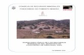 CONSEJO DE RECURSOS MINERALES … · General del Consejo de Recursos Minerales, con la intención de establecer las bases de un convenio para el desarrollo del Inventario Físico