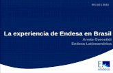 La experiencia de Endesa en Brasil - …estaticos.expansion.com/opinion/documentosWeb/2013/10/14/endesa… · Generación Distribución ... Central Termoeléctrica 322 MW ... ni constituye