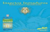 S.E.A. - SEA: Sociedad Entomológica Aragonesa | http ...sea-entomologia.org/PDF/M3M5/149_162_Trichoptera.pdf · palmente próximas a cuerpos de agua, arroyos o aguas ... riadas y
