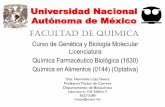 Universidad Nacional Autónoma de México · 2017-09-05 · melanogaster para el desarrollo de los conceptos de genes ligados y herencia ligada al sexo. X ... diferencias entre lo