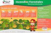 Incendios Forestales - slp.gob.mx · @GobEdoSLP GobEdoSLP  PROSPEREMOS JUNTOS Infórmate Fuente: Centro Nacional de Prevención de Desastres Comisión Nacional Forestal, CONAFOR