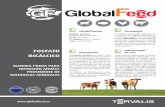 FOSFATO BICÁLCICO - globalfeed.esglobalfeed.es/images/fichas/2017/folleto_globalfeed_dcm_es_julio.pdf · Tecnología El Fosfato Bicálcico de Globalfeed es ... materias primas para