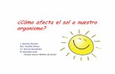 ¿Cómo afecta el sol a nuestro organismo? - ALUSalusevilla.org/wp-content/uploads/2014/05/Como-el-sol-afecta-a... · Papuloescamoso o psoriasiforme En guirnalda o anular C. Lupus