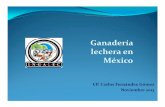 Ganadería lechera en México - CNOGcnog.org.mx/_documentos/memoria5-2013.pdf · Carne de Ovino 57,692 Carne de Pavo 20,640 ... En Jalisco, Coahuila, Durango y Chihuahua, se concentra