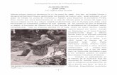 ALFONSO REYES (1889-1959) - :: DIVISION DE …dcsh.izt.uam.mx/.../Reyes_Alfonso-AspeArmellaVirginia.pdfEnciclopedia Electrónica de la Filosofía Mexicana ~ 1 ~ ALFONSO REYES (1889-1959)