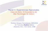 Panel 3. Experiencias Nacionales - CADHaus:cadhaus.com.mx/resources/conferencias/004_Ijalti_Dr_Medina.pdf · principales líderes del bajomundo de la CTi, pero he utilizado a la CTi