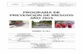 PROGRAMA DE PREVENCION DE RIESGOS AÑO … · 2018-03-25 · Realizar un programa de ... las cuales se especifican en la carta Gantt: Inspecciones de ... Se mantendrá la motivación
