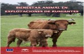 BIENESTAR ANIMAL EN - albeitar.portalveterinaria.com · Índice unidad didÁctica 1: aspectos sociales y legales del bienestar animal. repercusiÓn en la calidad de los productos.