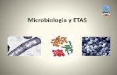 Microbiología y ETAS - Municipalidad de Comodoro … · caracteres organolépticos de la carne. Si el proceso de faena no es higiénico se produce contaminación de la res. Alimentos