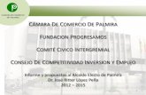 CÁMARA DE COMERCIO DE PALMIRA - …cdim.esap.edu.co/BancoMedios/Documentos PDF/palmira informe... · - Parque agroindustrial científico y tecnológico del pacifico. - Definir el
