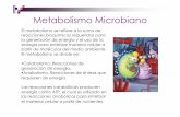Metabolismo Microbiano - microred.files.wordpress.com · El movimiento de protones a través de F0dirige la rotación de las ... fuerza protón motriz. Respiración aerobia 2 H +