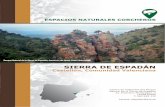ESPACIOS NATURALES CORCHEROS - retecork.org · Chilches, Onda, Castellón de la Plana, Navajas, Moncofa, Almenara y Almassora. ACTIVIDAD ECONÓMICA Las actividades económicas principales