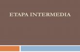 TEORIA DEL PROCESO ETAPA INTERMEDIA - … · La Etapa Intermedia 2 La fase intermedia, como su nombre indica, es una etapa procedimental, situada entre la instrucción y el juicio
