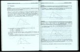 cdigital.dgb.uanl.mxcdigital.dgb.uanl.mx/la/1020124713/1020124713_005.pdf · realizar la experiencia gráfica que le proponemos va a dibujar un triángulo arbitrario, a su manera
