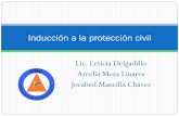 Inducción a la protección civil · primeras organizaciones de defensa civil entre la población En México, luego del sismo del 19 de septiembre de 1985, se crea la Comisión Nacional
