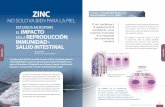 ZINC RELACIONADA SALUD EPITELIAL ZINC? · función para conservar la integridad de las células ... en el tejido epitelial del intestino minerales 8 nutri News Marzo 201 Z N 8 nutri