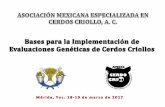 Maestría en Ciencias en Innovación Ganaderacerdopelonmexicano.com/portal/images/1-Importancia... · 3. Datos de Comportamiento Productivo ... PROBLEMA: SUBJETIVO, NO ES CUANTIFICABLE