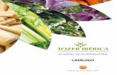 EXPERIENCIA EN SEMILLAS VEGETALES el sabor de … · Tozer Seeds es una empresa de cultivo hortícolas británica fundada en 1939. ... Plantas vigorosas, con hojas de color verde