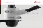 Línea Leica StereoZoom S6 E... · disponen del diámetro de campo visual más grande de su clase, de 36,5 mm, que garantiza una observación más ... de 48 a 98 mm, el aumento, la