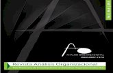 Revista Análisis Organizacional - remineo.orgremineo.org/repositorio/rao/aonc/raoncv1n6.pdf · Del análisis financiero al análisis integral de las organizaciones. ... different