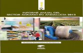 Informe Anual del Sector - unicajabanco.es · Cuadro III.1 Principales macromagnitudes agrarias en 2013 134 Cuadro III.2 Evolución de la Renta Agraria en las provincias andaluzas