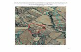Informe de la prospección arqueológica y delimitación de ... · Informe de la prospección arqueológica y delimitación de yacimientos del Término Municipal de Monflorite- Lascasas