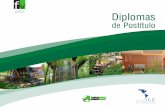 DIPLOMAS DE Diplomas - apoidea.coapoidea.co/sites/default/files/Brochure-Diploma-Construccion... · Colombia, Argentina y Chile, con Organizaciones empresariales, Administraciones