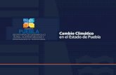 Estrategia de Mitigación y Adaptación del - … PP 4CNICC2014... · VIII.Presión en el uso de agua Municipio Vulnerabilidad Xochitlán de Vicente Suárez Alta ... realizadas de