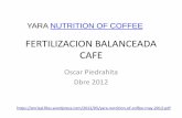YARA NUTRITION OF COFFEEnuprec.com/Nuprec_Sp_archivos/CAFE/CAFETO_archivos...EN EL CULTIVO DEL CAFÉ Siavosh Sadeghian k'h..; Hernando Duque O.' Contenido de materia orgánica (0/0)
