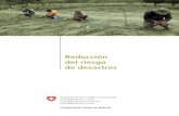 Reducción del riesgo de desastres - eda.admin.ch · de la gobernabilidad local de los municipios que componen la Mancomunidad Cintis”, orientado a la reducción del riesgo de desastres