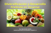 Diversificación y Desarrollo - concitver.com · En Veracruz existen las condiciones edafoclimáticas e hidrológicas adecuadas para el cultivo exitoso de Frutales tropicales como