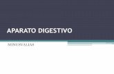 APARATO DIGESTIVO - webs.ucm.eswebs.ucm.es/centros/cont/descargas/documento39727.pdf · esclerosante primaria en la colitis ulcerosa) ... • 7 Por ser frecuente en patología biliar