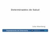 Determinantes de Salud - jwarnberg.comjwarnberg.com/clase/ApuntesClases/Comunitaria/03.DeterminantesSalu... · (Glosario OMS 1998) DETERMINANTES DE SALUD. Concepto Biologicista. (Finales