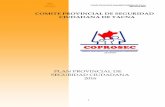 COMITE PROVINCIAL DE SEGURIDAD CIUDADANA DE … · Comité Provincial de Seguridad Ciudadana de Tacna Plan local 2016 4 En segundo lugar, el Plan busca servir de instrumento orientador
