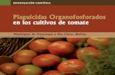 PRESENTACIÓN - Centro Boliviano de Estudios ...cebem.org/cmsfiles/publicaciones/plag_organofosforados_tomate.pdf · Las vías de exposición ambiental son múltiples y variadas.