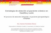 Estrategia de atención al paciente crónico en Castilla y ... · Detección y Atención Temprana a la hipoacusia. ... 3.- Aula de pacientes ... ( evaluado solo en el area pilotaje)