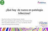¿Qué hay de nuevo en patología Infecciosa? - aepap.org · POLIOVIRUS COSACKIE A COSACKIE B ECHOVIRUS ENTEROVIRUS D68-A71 Sd febril Meningitis aséptica Poliomielitis paralítica