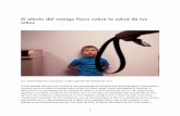 El efecto del castigo físico sobre la salud de los niños21hjk03hprzp3wb3op3limx7-wpengine.netdna-ssl.com/wp-content/uplo… · 2 UNICEF (2006), Observaciones ... castigos físicos